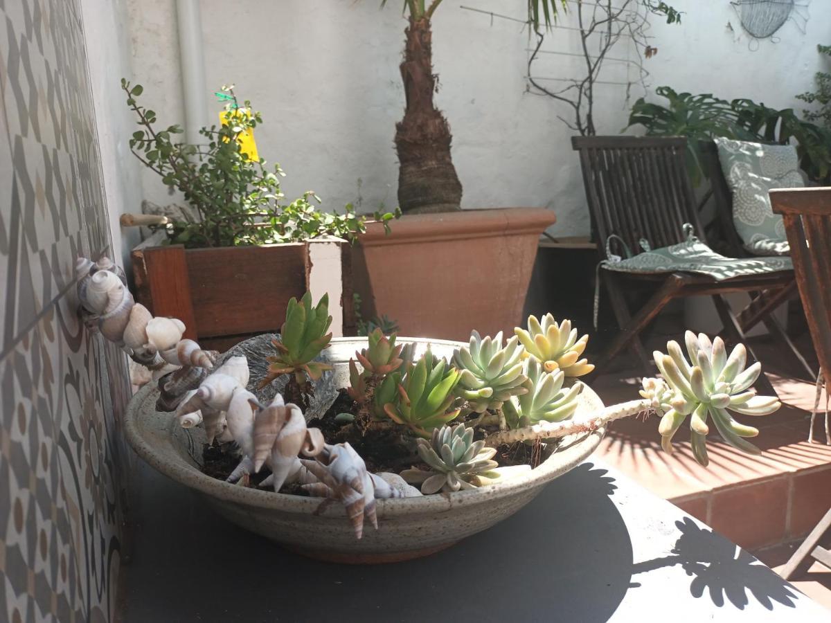 House On The Hill Hostel Cape Town Luaran gambar